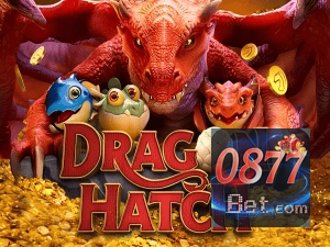 0877BET PIX instantâneo Brasil - Depósito e saque em minutos 24/7